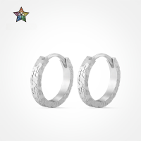 wholesale 925 Sterling Silver New Chinese-style Earrings for Women, Crushed Ice Design, Exquisite and High-end, Rippling Light Effect, Academic Style Silver Earrings-Silver DY110357-SS-NA>925 silver