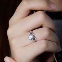 wholesale S925 Sterling Silver Elegant Women's Ring, Small Batch Design, High-End Sense Accessory, Autumn Winter New Product, Zircon Wedding Ring Wholesale-Platinum No. 7