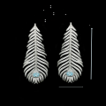 wholesale 925 Silver Gold-Plated Earrings with High-Carbon Diamonds, Feather, and Aquamarine for Luxurious Banquet Events, Versatile Women's Earrings-0-1
