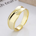 wholesale S925 Sterling Silver Simple French Style Irregular Shaped Open Ring Versatile Fashion Luxury Wind Ring-0-1