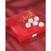 wholesale 999 Pure Silver Zodiac Snake Year Commemorative Coin, Auspicious Dumpling Money Collectible, Lucky Money Souvenir, New Year Red Envelope Gift-Set of ten silver coins 20 grams + certificate