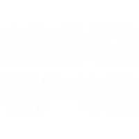 wholesale Metal material - XB642 Diamond-Encrusted Small Skirt Necklace Customer Exclusive Purchase-XB642-white gold