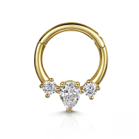 wholesale S925 Sterling Silver European And American Hot-selling Light Luxury Multi-zircon Zirconia Cartilage Nose Ring And Ear Clips-Single gold-style 1