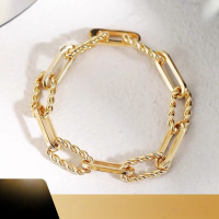 wholesale 18K Gold Thick Chain Poseidon Bracelet Women Twist Necklace Series Elegant Versatile Plain Chain European Style High-End-18K yellow 17CM