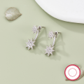 wholesale 925 Sterling Silver Ear Studs High-end, Cross-border Hot Pick Eight-point Star Inlaid Diamond French INS Style Niche Earrings for Women-0-1