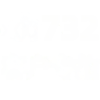 wholesale Stainless Steel XB732 Four-Leaf Clover Necklace Customer Exclusive-xb732-white gold