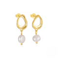 wholesale S925 Sterling Silver Geometric Zircon-inlaid Baroque Irregular Pearl Earrings, A Popular And Uniquely Designed European And American Accessory-0-8