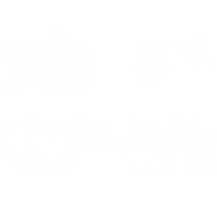 wholesale Diamond-encrusted plum blossom necklace XB709 for exclusive client photography-xb709-white gold