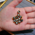 wholesale S925 Gold-Plated Agate Tianzhu Barrel Bead Components Bracelet DIY Semi-Finished Product New-0-8