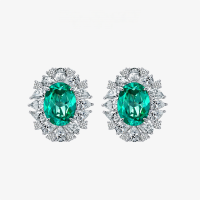 wholesale Metal material is placed at the beginning: Rhodium Plated, 7 Carats Oval-Shaped Paraiba Green 10*14 Earrings for Women, European and American Luxury High-End Jewelry-Par Green【E-1914】 Main Stone 10*14