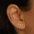 wholesale S925 Sterling Silver Irregular Zodiac Constellation Star Earrings With Zircons-0-2