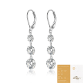 wholesale 925 Sterling Silver Fashion Commute Live Sale Earrings Light Luxury High-End European & American New Arrival Ins Long Style Moissanite Earrings-0-6