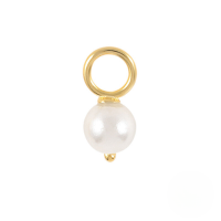 wholesale S925 Sterling Silver Earrings Charm Bead Pendant Accessories For Women's Office Wear-#6