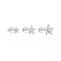 wholesale S925 Sterling Silver Mini Petal Triangle Zircon Earring Set, Popular Moon And Lightning Earrings For Women-0-7